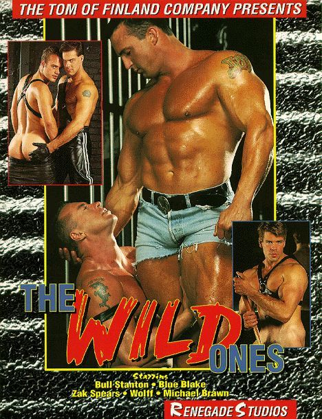 The Wild Ones / Дикие