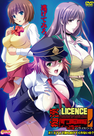 Chikan no Licence / Лицензия на приставание