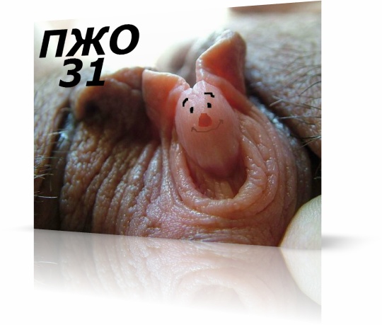 Пульсирующие Женские Оргазмы 31!